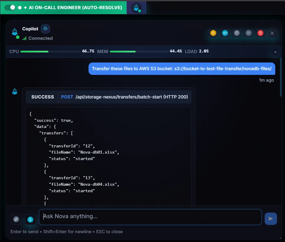 Nova Copilot transferring files to AWS S3
